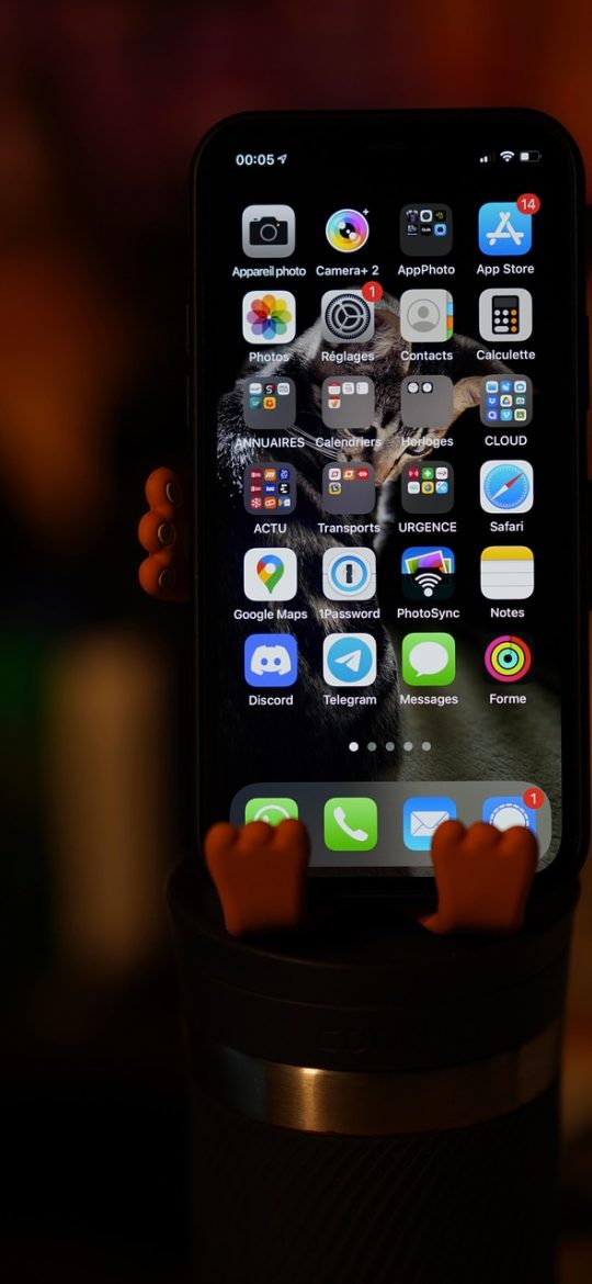 问鼎.vip App 问答互动专栏界面截图，用户提问列表与回答展开区域，问答内容为白话解释，字距宽松便于阅读